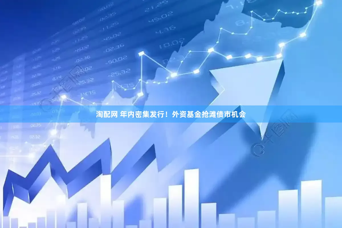 淘配网 年内密集发行！外资基金抢滩债市机会