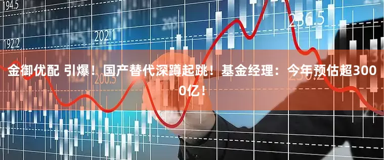 金御优配 引爆！国产替代深蹲起跳！基金经理：今年预估超3000亿！