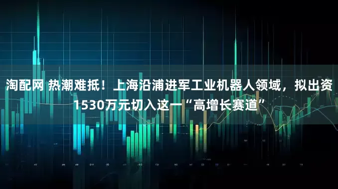 淘配网 热潮难抵！上海沿浦进军工业机器人领域，拟出资1530万元切入这一“高增长赛道”